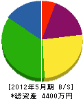 大川電気興業 貸借対照表 2012年5月期