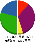 鯰田工務店 貸借対照表 2012年12月期