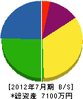 迫田組 貸借対照表 2012年7月期