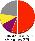 宮崎塗装店 損益計算書 2007年12月期