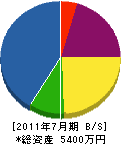 中沢電気 貸借対照表 2011年7月期