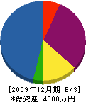 吉野商会 貸借対照表 2009年12月期