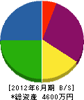徳田管工 貸借対照表 2012年6月期