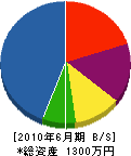 戸梶開発 貸借対照表 2010年6月期