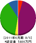 島田工務店 貸借対照表 2011年6月期