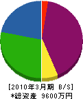 渡辺緑化メンテナンス 貸借対照表 2010年3月期