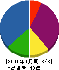 田中電気 貸借対照表 2010年1月期