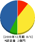 日本緑地開発 貸借対照表 2008年12月期