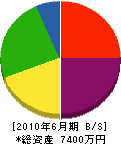 橋本塗装 貸借対照表 2010年6月期