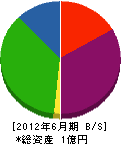 廣瀬工業所 貸借対照表 2012年6月期