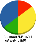 南州建設 貸借対照表 2010年8月期