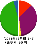 斑鳩産業 貸借対照表 2011年12月期