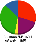 手塚設備 貸借対照表 2010年6月期