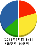 関根電気商会 貸借対照表 2012年7月期