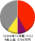 斉木建設 損益計算書 2009年12月期