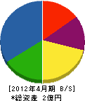 小沼チップ 貸借対照表 2012年4月期
