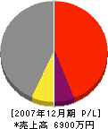 岩崎工務店 損益計算書 2007年12月期