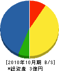 小島電気 貸借対照表 2010年10月期