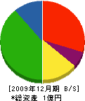 宮本雄建設 貸借対照表 2009年12月期