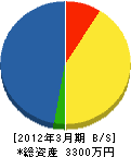 前川電機商会 貸借対照表 2012年3月期