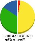 平山茂建設 貸借対照表 2009年12月期