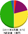 スペック沢井 貸借対照表 2011年4月期