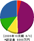 鈴木開発 貸借対照表 2009年10月期