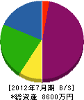 塚本陶器 貸借対照表 2012年7月期