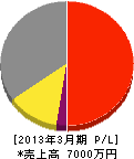 静岡県中部建設業（同） 損益計算書 2013年3月期