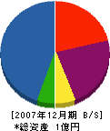 ホシパイプ 貸借対照表 2007年12月期