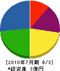 桧垣商会 貸借対照表 2010年7月期