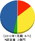 永井電機 貸借対照表 2012年1月期