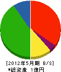 平山電機 貸借対照表 2012年5月期
