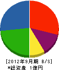 渡辺兄弟工業 貸借対照表 2012年9月期