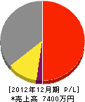 新川松村組 損益計算書 2012年12月期