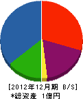 長谷川工業 貸借対照表 2012年12月期