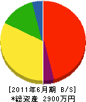 篠原電設社 貸借対照表 2011年6月期