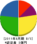 生垣電興社 貸借対照表 2011年4月期