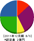 内村商店 貸借対照表 2011年12月期