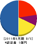 羽地総業 貸借対照表 2011年6月期