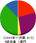 総建 貸借対照表 2009年11月期