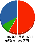 河島工作所 貸借対照表 2007年12月期