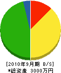 渋谷土木工業 貸借対照表 2010年9月期