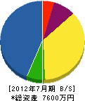 金塚設備 貸借対照表 2012年7月期