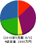 齋藤工務店 貸借対照表 2010年5月期