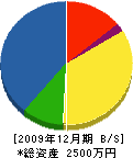 掃部関ポンプ店 貸借対照表 2009年12月期