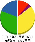 中島設備 貸借対照表 2011年12月期