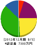 山弘 貸借対照表 2012年12月期