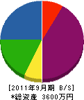 松井電設 貸借対照表 2011年9月期