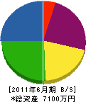 ムサシノ安全 貸借対照表 2011年6月期